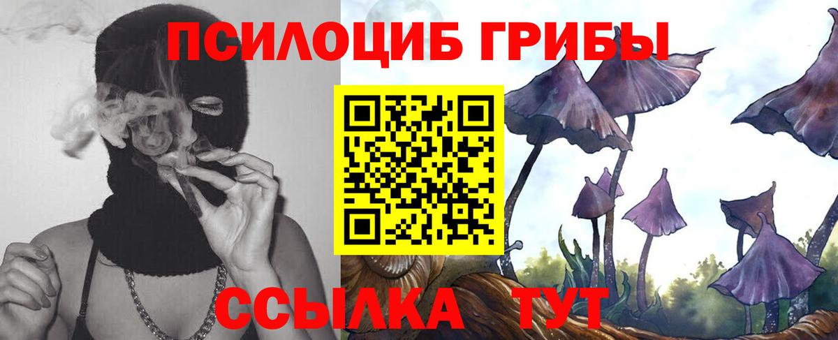 Псилоцибиновые грибы прущие грибы Дивногорск